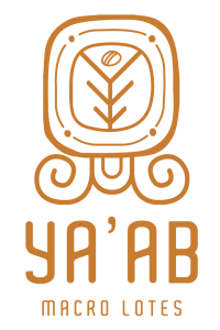Logotipo YA'AB - DORADO